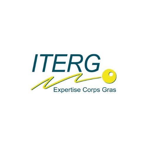 iterg logo 1